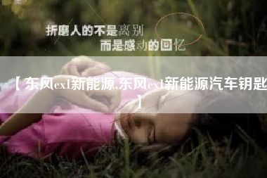 【东风ex1新能源,东风ex1新能源汽车钥匙】 【东风ex1新能源,东风ex1新能源汽车钥匙】
