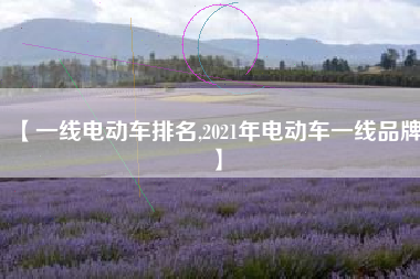 【一线电动车排名,2021年电动车一线品牌】