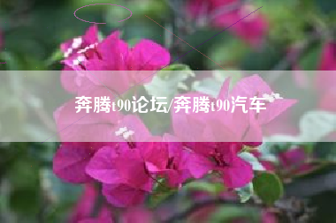 奔腾t90论坛/奔腾t90汽车