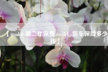 【modely第二年保费,model y新车保险多少钱】