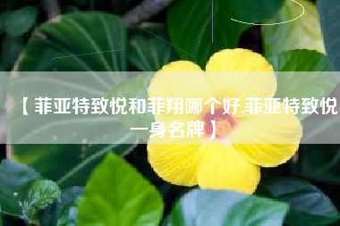 【菲亚特致悦和菲翔哪个好,菲亚特致悦一身名牌】 【菲亚特致悦和菲翔哪个好,菲亚特致悦一身名牌】