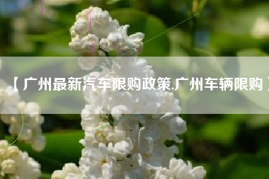 【广州最新汽车限购政策,广州车辆限购】
