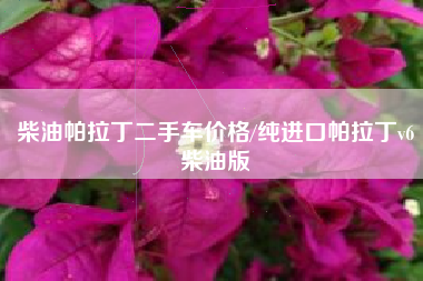 柴油帕拉丁二手车价格/纯进口帕拉丁v6柴油版