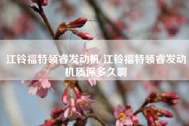 江铃福特领睿发动机/江铃福特领睿发动机质保多久啊