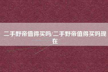 二手野帝值得买吗/二手野帝值得买吗现在 二手野帝值得买吗/二手野帝值得买吗现在