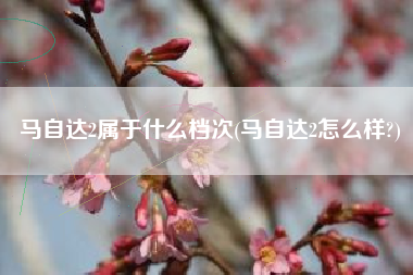 马自达2属于什么档次(马自达2怎么样?) 马自达2属于什么档次(马自达2怎么样?)