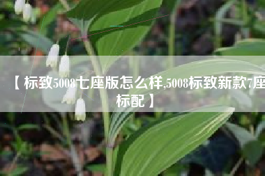 【标致5008七座版怎么样,5008标致新款7座标配】 【标致5008七座版怎么样,5008标致新款7座标配】