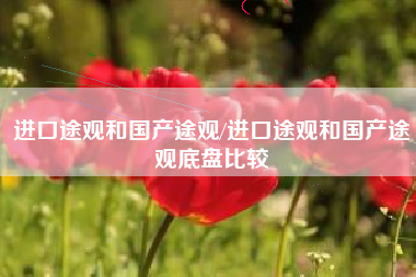 进口途观和国产途观/进口途观和国产途观底盘比较