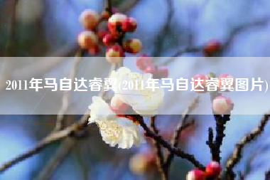 2011年马自达睿翼(2011年马自达睿翼图片) 2011年马自达睿翼(2011年马自达睿翼图片)