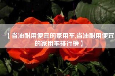 【省油耐用便宜的家用车,省油耐用便宜的家用车排行榜】