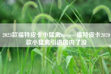 2023款福特皮卡小猛禽ranger/福特皮卡2020款小猛禽引进国内了没