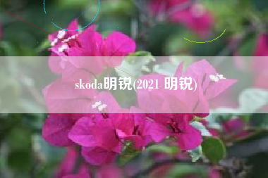 skoda明锐(2021 明锐)