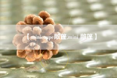 【minicoupe敞篷,mini 敞篷】