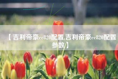 【吉利帝豪ec820配置,吉利帝豪ec820配置参数】 【吉利帝豪ec820配置,吉利帝豪ec820配置参数】