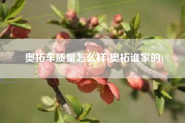 奥拓车质量怎么样(奥拓谁家的) 奥拓车质量怎么样(奥拓谁家的)