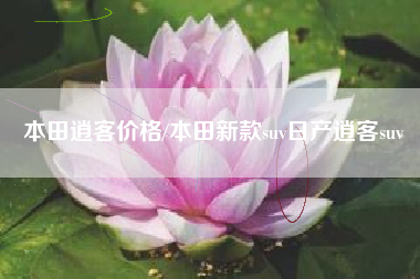 本田逍客价格/本田新款suv日产逍客suv