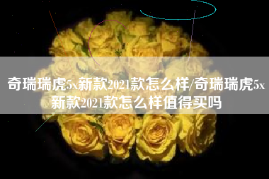 奇瑞瑞虎5x新款2021款怎么样/奇瑞瑞虎5x新款2021款怎么样值得买吗