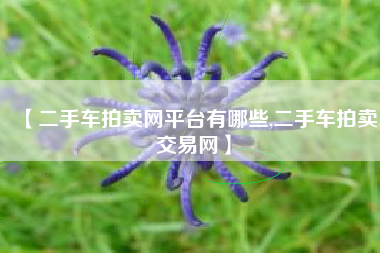 【二手车拍卖网平台有哪些,二手车拍卖交易网】
