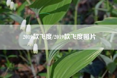 2019款飞度/2019款飞度图片 2019款飞度/2019款飞度图片
