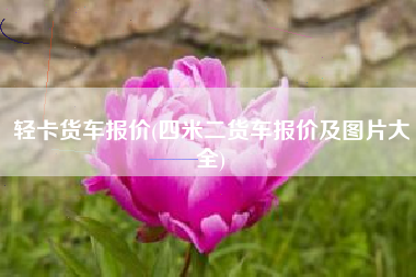 轻卡货车报价(四米二货车报价及图片大全)