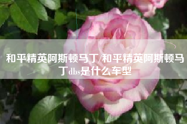 和平精英阿斯顿马丁/和平精英阿斯顿马丁dbs是什么车型