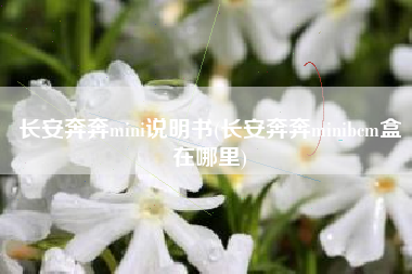 长安奔奔mini说明书(长安奔奔minibcm盒在哪里) 长安奔奔mini说明书(长安奔奔minibcm盒在哪里)