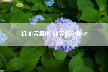 机油等级(机油等级SQ和SP) 机油等级(机油等级SQ和SP)