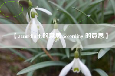 【accordingly的意思,according 的意思】 【accordingly的意思,according 的意思】
