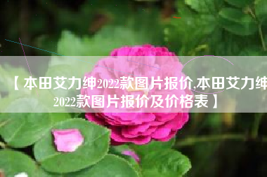 【本田艾力绅2022款图片报价,本田艾力绅2022款图片报价及价格表】