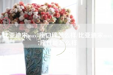 比亚迪宋max7座口碑怎么样/比亚迪宋max7座性能怎么样