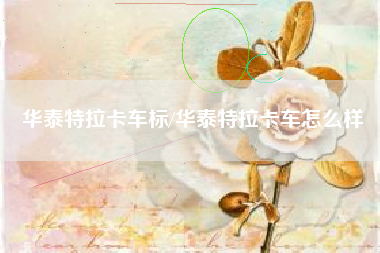 华泰特拉卡车标/华泰特拉卡车怎么样 华泰特拉卡车标/华泰特拉卡车怎么样