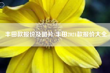 丰田款报价及图片/丰田2021款报价大全