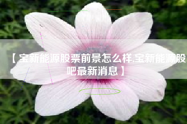 【宝新能源股票前景怎么样,宝新能源股吧最新消息】 【宝新能源股票前景怎么样,宝新能源股吧最新消息】
