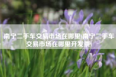 南宁二手车交易市场在哪里(南宁二手车交易市场在哪里开发票)