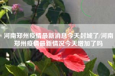 河南郑州疫情最新消息今天封城了/河南郑州疫情最新情况今天增加了吗