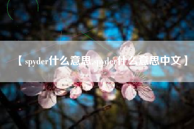 【spyder什么意思,spyder什么意思中文】 【spyder什么意思,spyder什么意思中文】