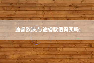 途睿欧缺点(途睿欧值得买吗)