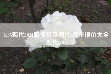 ix35现代2021款报价及图片/汽车报价大全现代ix35