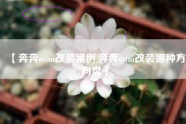 【奔奔mini改装案例,奔奔mini改装哪种方向盘】