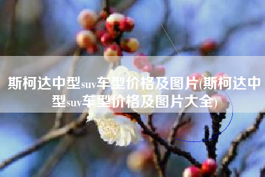 斯柯达中型suv车型价格及图片(斯柯达中型suv车型价格及图片大全) 斯柯达中型suv车型价格及图片(斯柯达中型suv车型价格及图片大全)