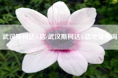 武汉斯柯达4s店/武汉斯柯达4s店地址查询