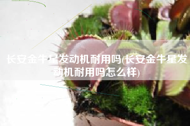 长安金牛星发动机耐用吗(长安金牛星发动机耐用吗怎么样) 长安金牛星发动机耐用吗(长安金牛星发动机耐用吗怎么样)