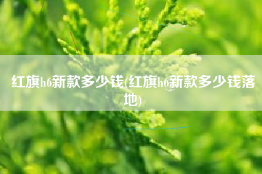 红旗h6新款多少钱(红旗h6新款多少钱落地)