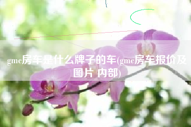 gmc房车是什么牌子的车(gmc房车报价及图片 内部) gmc房车是什么牌子的车(gmc房车报价及图片 内部)