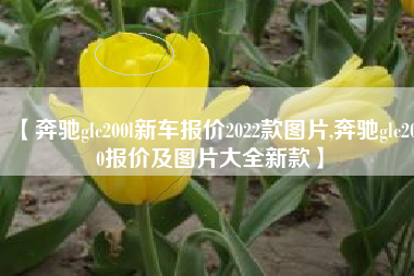 【奔驰glc200l新车报价2022款图片,奔驰glc200报价及图片大全新款】