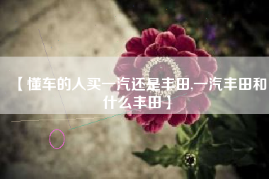 【懂车的人买一汽还是丰田,一汽丰田和什么丰田】 【懂车的人买一汽还是丰田,一汽丰田和什么丰田】