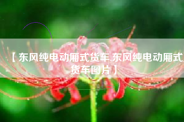 【东风纯电动厢式货车,东风纯电动厢式货车图片】