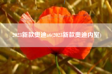 2023新款奥迪a6(2023新款奥迪内室)