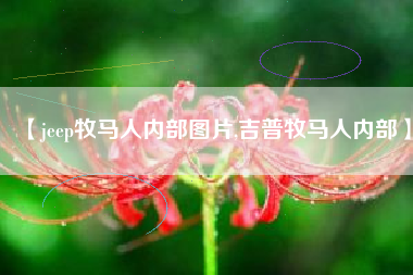 【jeep牧马人内部图片,吉普牧马人内部】