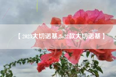 【2023大切诺基,2o22款大切诺基】